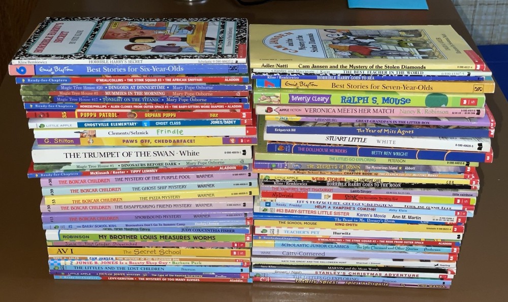 Lot of 60 Chapter Books For 1st 2nd 3rd Grade Readers Ages 6-10 Huge Variety