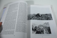 Michael Wittmann and the Tiger Commanders of the Leibstandarte by Patrick Agte