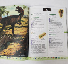 Kids Books About Dinosaurs Lot Of 10 Homeschool Classroom Library Picture Books