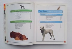Used Book KISS Guide To Living With A Dog 2001 Paperback 415 Pages Very Good DK
