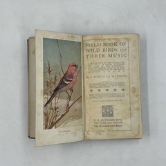 Vintage Field Book Of Wild Birds And Their Music Mathews HC Revised 1921 USA