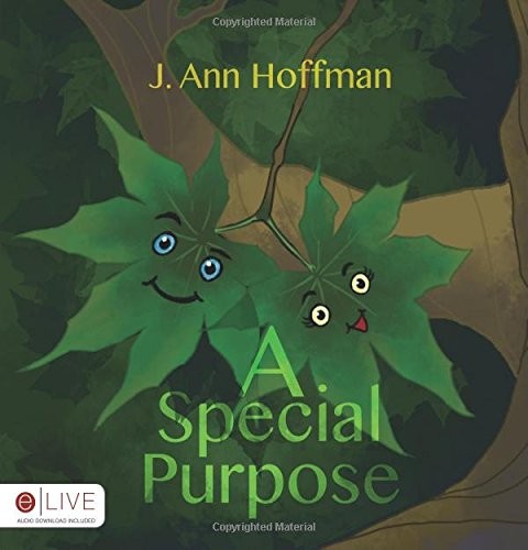 A Special Purpose – Hoffman, J. Ann – Good – See condition notes