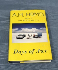 DAYS OF AWE STORIES BOOK