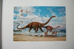 Dinotopia by James Gurney – JAPANESE LANGUAGE Edition 1992 – Hardcover with DJ