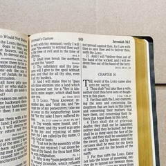 🔥1990, Nelson Regency Holy Bible King James Version Giant Print Red Letter