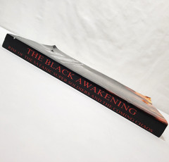 The Black Awakening Rise of the Satanic Super Soldiers By Russ Dizdar 2009 Book
