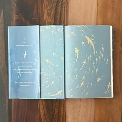 Life of Pi A Novel – Yann Martel Hardcover Original DJ – 1st Edition 2001
