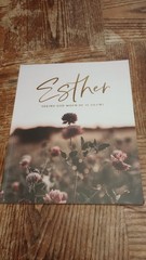 The Daily Grace Co. Devotional Bible study Lot: Ruth, Esther, Women of the Bible