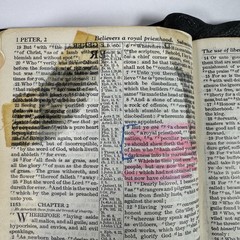 Holy Bible National Bible Press Pronouncing Red Letter KJV 1940’s Thumb Tabs