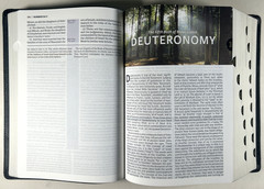 KJV Study Bible Black Genuine Leather Full Color Edition Indexed King James VG