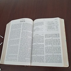 OPEN BIBLE PROPHECY EDITION HOLY BIBLE KJV GENUINE LEATHER GODS NEWS BEHIND NEWS