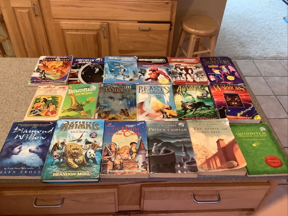 Chapter Books Fantasy-Lot of 18-dragons, Warriors, Narnia, Choose Own Adventure
