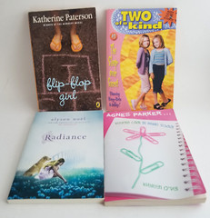 Lot of 19 Paperback Chapter Books For Young Teen Boys /Girls B73