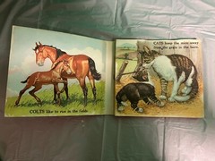 Vintage Children’ Animal books – Barn Panorama/Old MacDonald/Farmer Jones+1