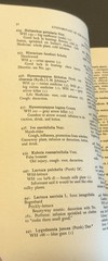 Ethnobotany of the Ramah Navaho