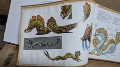 Monster Hunter Illustrations 3 Art Book Hardcover Capcom Udon (Water Damage)