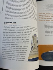A History of Basketball in Fifteen Sneakers Hardcover – Bengtson NBA Jordan Nike