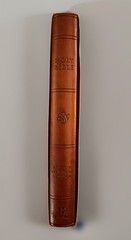 Bible (ESV) English Standard Version Large Print Value Thinline TruTone Tan New.