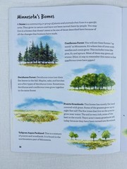 Making Minnesota – A Kids Activity Book. 45 Pages Paperback by Patricia Bauer