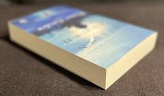 Winter Garden (Paperback) by Kristin Hannah, 2010 NEW