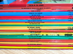 The Adventures of Tintin Complete Collection 24-Book Set English Ed. Paperback