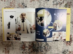My Town by William Wegman (1998 Hardcover) 1st Edition
