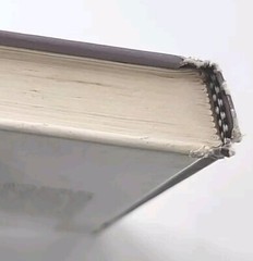 Raising Cain… And His Sisters By Suzy Pizzuti LARGE PRINT Hardcover Book 2000