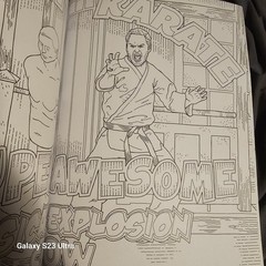 Parks and Recreation : The Official Coloring Book, Paperback by Insight Edition