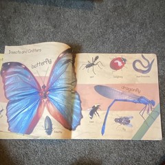 My Book of Animals Bendon, Inc. 2009 Board Book Picture Book Ages 4-8