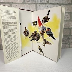 Gnomes Wil Huygen Rien Poortvliet 1977 Abrams Illustrated Fantasy Folklore HC DJ