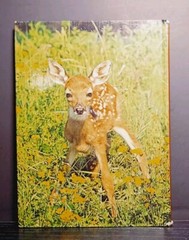 Baby Animals in Color Vintage 1980 Octopus Books Hardcover Children’s