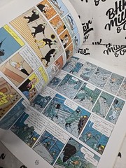 The Shooting Star (The Adventures of Tintin) Paperback