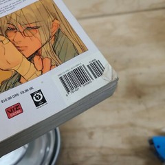 Loveless, Vol. 1 (2-In-1 Edition) : Includes Vols. 1 And 2 by Yun Kouga manga