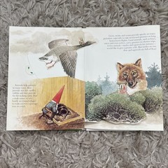 The Pop-Up Book Of Gnomes With Animals, 1983 Illustrated 1st Ed. Abrams Uniebock