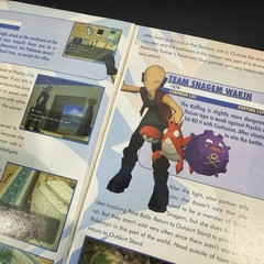 Nintendo GameCube Pokemon Colosseum Official Brady Games Strategy Guide W Poster
