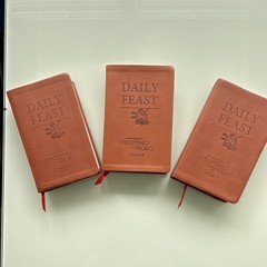 Feasting on the Word Daily Feast Devotional Set 3 Vol Years A-C, Leather bound
