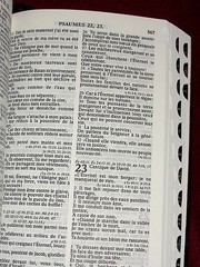 French Bible, La Sainte Bible – Segond 1910 Blue Vinyl, Handheld Thumb Index