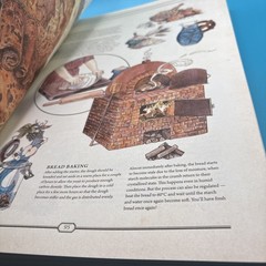 RARE! The Book The Ultimate Guide To Rebuilding Civilization Quest Ed pg 378-379