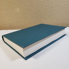 The Lightning Thief Percy Jackson Hardcover OOP Rick Riordan Unclipped Jacket