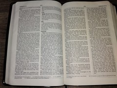 NIV Thinline Bible New International Version 1996 Zondervan Bonded Leather Bound