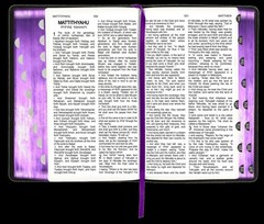 BIBLE Complete 1ST Edition & Extra-Biblical Bks & More Has It All