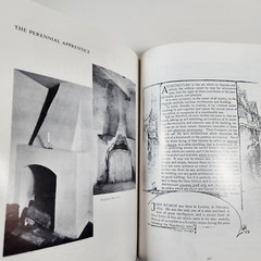Perennial Apprentice 60 Years Achitecture Delaware History 1916 to 1976 Bennett