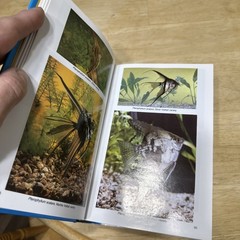 Dr Axelrods Mini Atlas of Freshwater Aquarium Fishes by Dr. Axelrod, Herbert R
