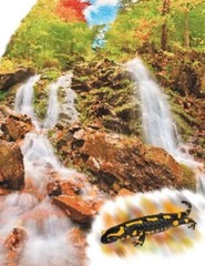 Book In Ukrainian Річки й озера Author not specified Rivers And Lakes