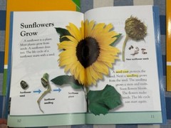 Lot 9 ALL DK Readers Interactive Science ELL Reading Support Homeschool Lv 1