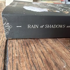 Rain of Shadows and Endings by Melissa K. Roehrich Paperback Legacy series #1