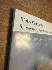 Rinko Kawauchi Illuminance, Ametsuchi, Seeing Shadow