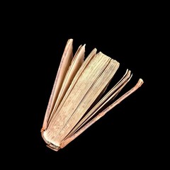 John Wesley. The Experience of Several Eminent Methodist Preachers 1812