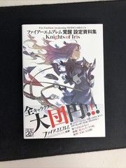 Fire Emblem Awakening Model Sheets Knights Of Iris Concept Art Book JDM MINT