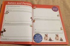 Highlights Reading And Writing Learning Fun Workbook Ages 6-7 1st Grade
